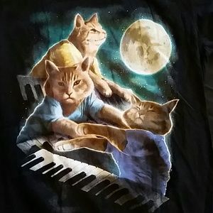 3 keyboard cat moon